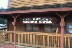 vet in mammoth, california