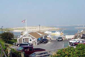 chatham pier and fish market